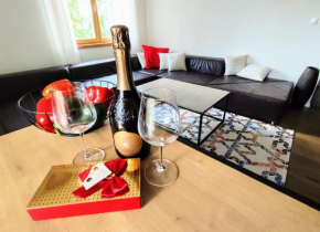 Apartman Panorama Park & Free Parking